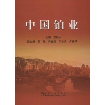 中国铂业 