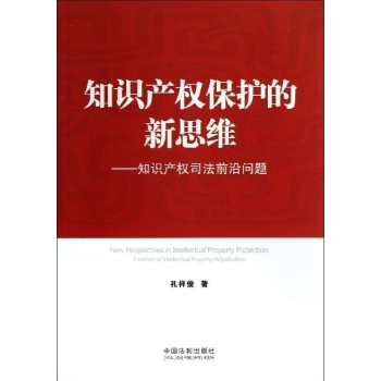 知识产权司法前沿问题/知识产权保护的新思维