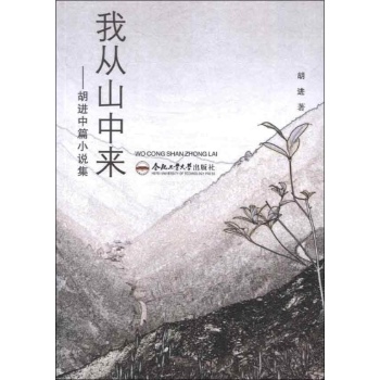 我从山中来——胡进中篇小说集